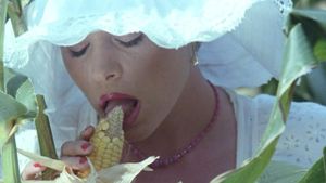 Secrets of a French Maid's poster