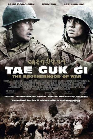 Tae Guk Gi: The Brotherhood of War's poster