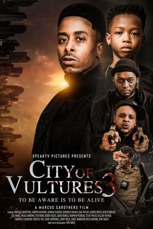 City of Vultures 3's poster