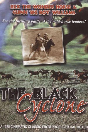 Black Cyclone's poster