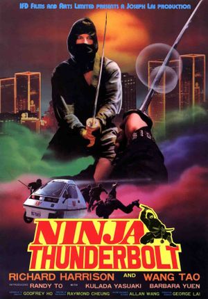 Ninja Thunderbolt's poster