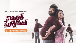 Mr. Pregnant's poster
