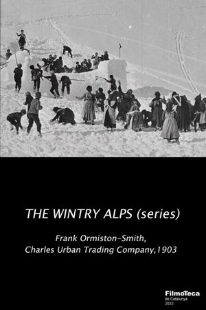 The Wintry Alps's poster