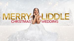 Merry Liddle Christmas Wedding's poster