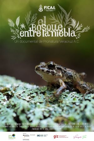 El bosque entre la niebla's poster