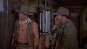 Rio Lobo's poster