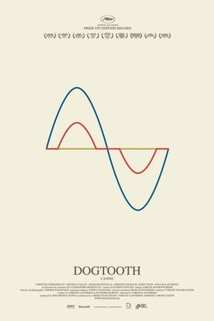 Dogtooth's poster