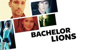 Bachelor Lions's poster