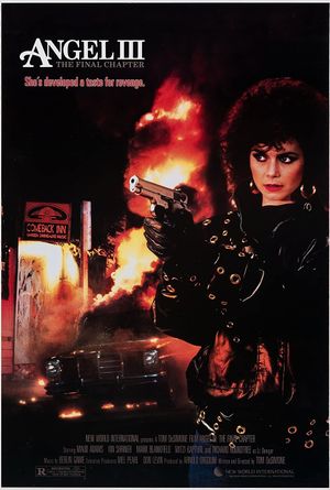 Angel III: The Final Chapter's poster