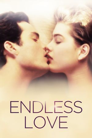 Endless Love's poster