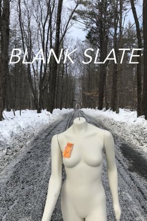 Blank Slate's poster