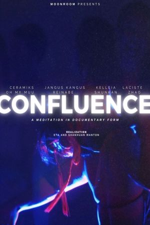 Confluence: A Meditation in Documentary Form's poster