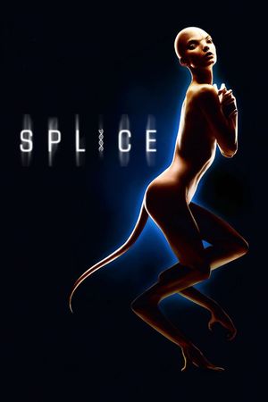 Splice's poster