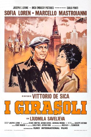 Sunflower's poster