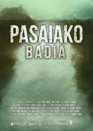 Pasaiako badia's poster