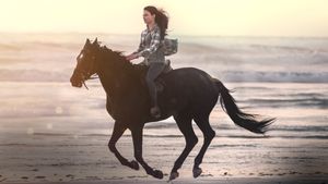Black Beauty's poster