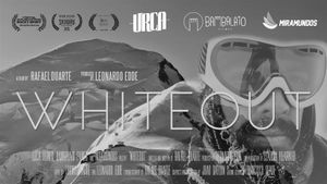 Whiteout's poster