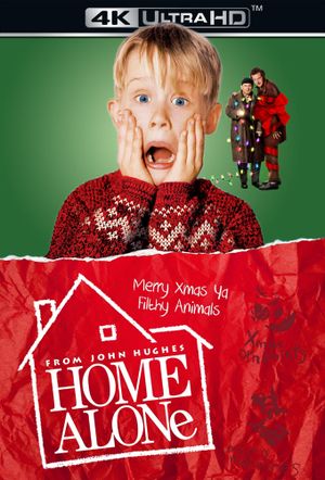 Home Alone's poster