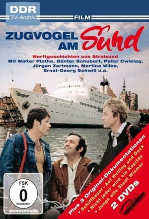 Zugvogel am Sund's poster