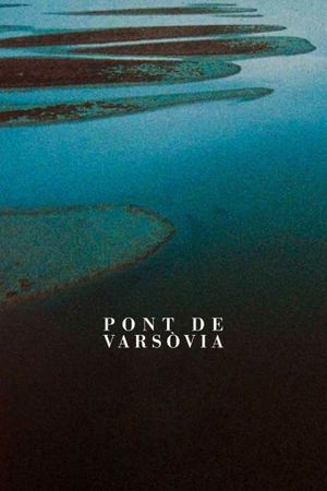 Warsaw Bridge's poster