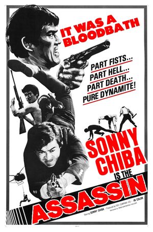 The Assassin's poster