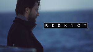 Red Knot's poster