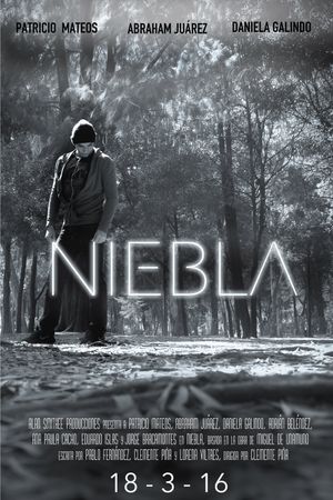 Niebla's poster