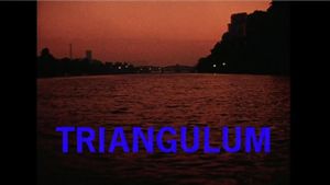Triangulum's poster