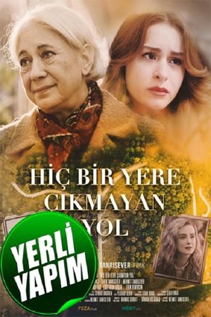 Hicbir Yere Cikmayan Yol's poster