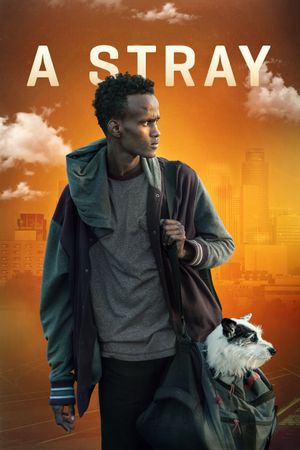 A Stray's poster