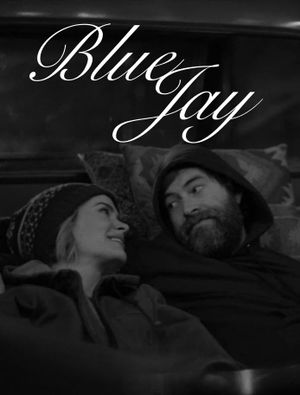 Blue Jay's poster