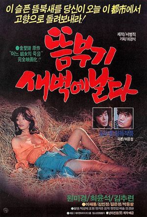 Ddeumbugi saebyeokae nalda's poster