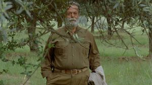 Through the Olive Trees's poster