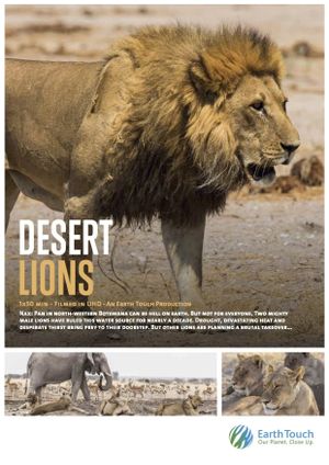 Desert Lions's poster