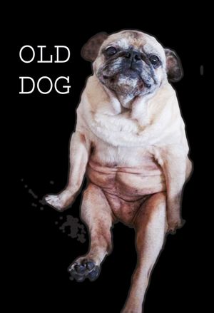 Old Dog's poster