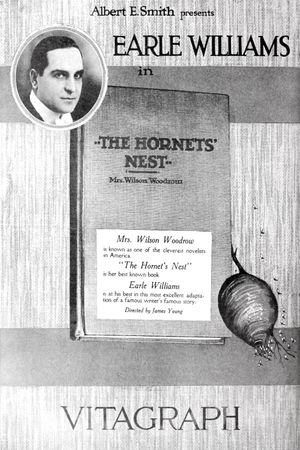 The Hornet's Nest's poster