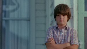 The Stone Boy's poster