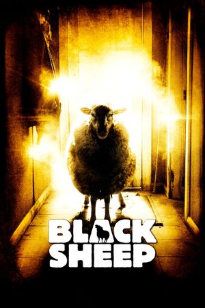 Black Sheep's poster