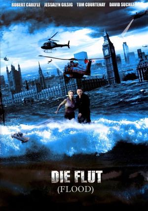 Flood's poster