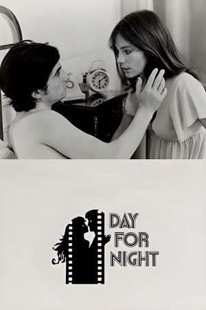 Day for Night's poster