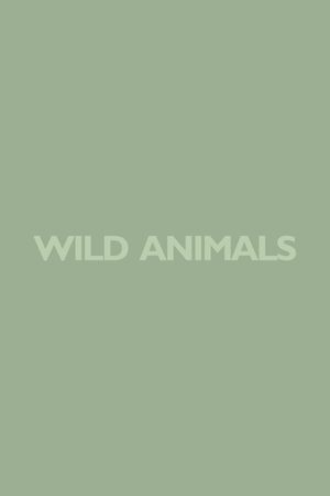 Wild Animal's poster