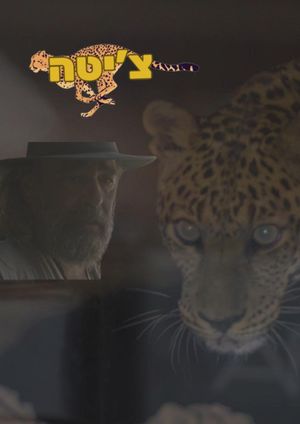 Cheetah's poster