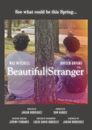 Beautiful Stranger's poster