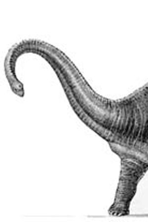 Diplodocus at Large's poster