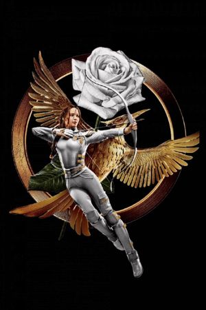 The Hunger Games: Mockingjay - Part 2's poster