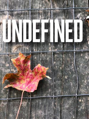Undefined's poster