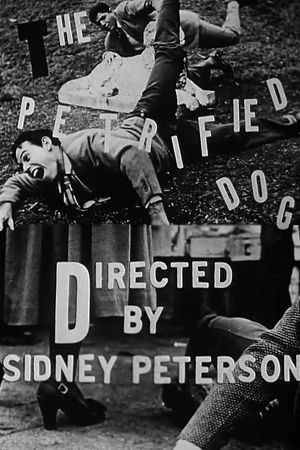 The Petrified Dog's poster