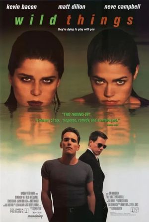 Wild Things's poster