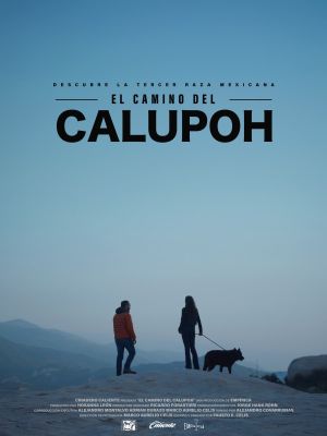 El Camino del Calupoh's poster