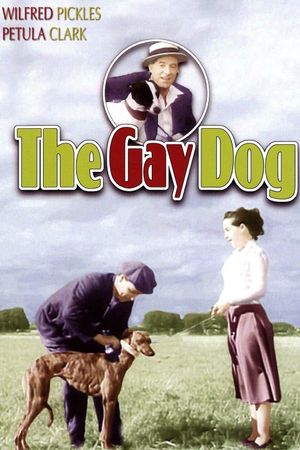 The Gay Dog's poster